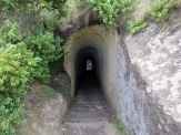 Tunnel Beach Track, Dunedin